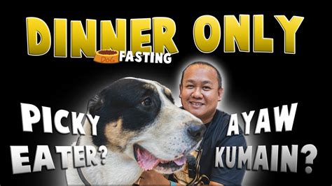 Inuna Pa Ang Magbantutan Kesa Pakainin si Doggy  .